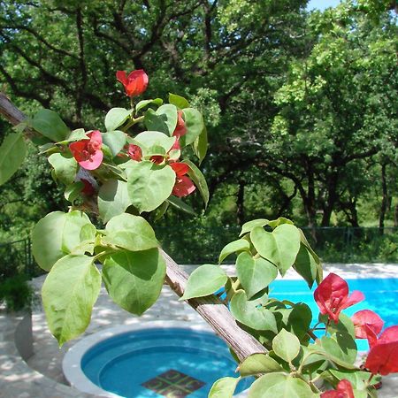 הרצג-נובי Poolside Apartments Miljan I Ranko מראה חיצוני תמונה